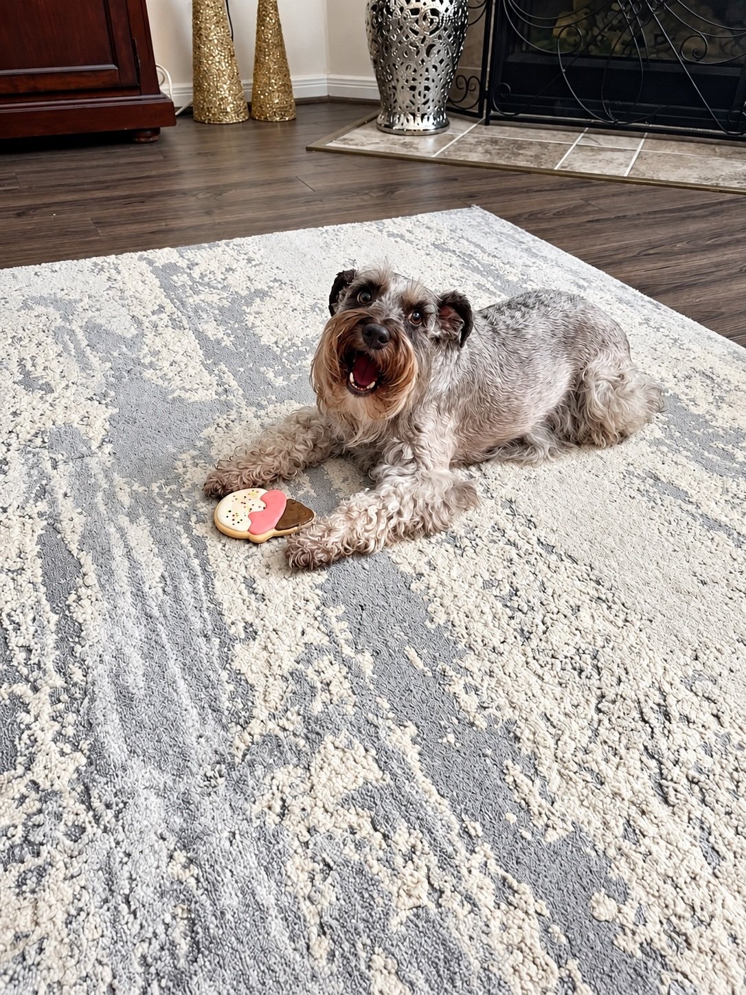 Happy dog relaxing indoors during in-home pet sitting